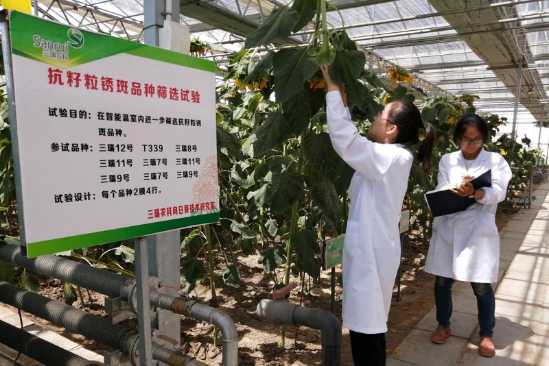 农业物联网选购指南：智慧农业的未来风向标