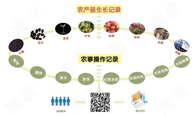 农业技术研发选购指南：创新与未来同行